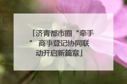 济青都市圈“牵手” 商事登记协同联动开启新篇章