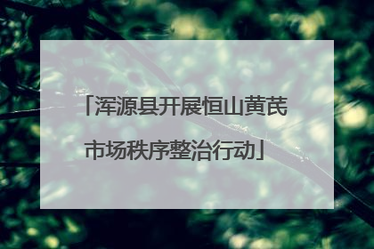 浑源县开展恒山黄芪市场秩序整治行动
