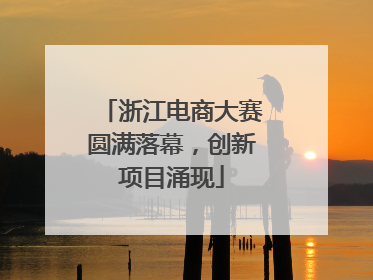 浙江电商大赛圆满落幕，创新项目涌现