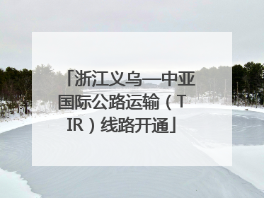 浙江义乌—中亚国际公路运输（TIR）线路开通