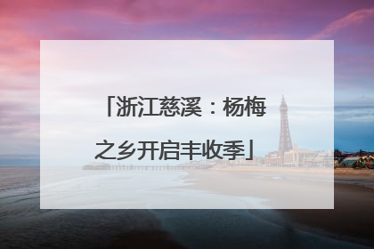 浙江慈溪：杨梅之乡开启丰收季