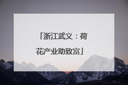 浙江武义：荷花产业助致富