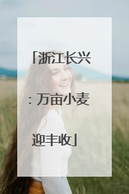 浙江长兴：万亩小麦迎丰收