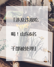 涉及违规吃喝！山东6名干部被处理