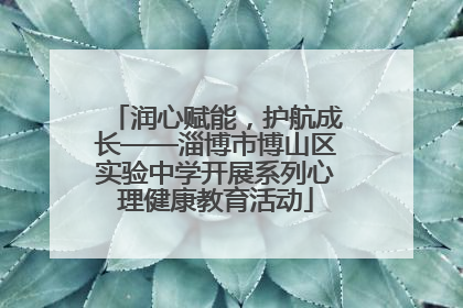 润心赋能，护航成长——淄博市博山区实验中学开展系列心理健康教育活动