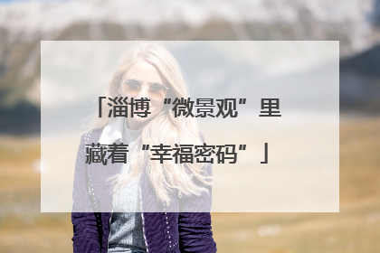 淄博“微景观”里藏着“幸福密码”