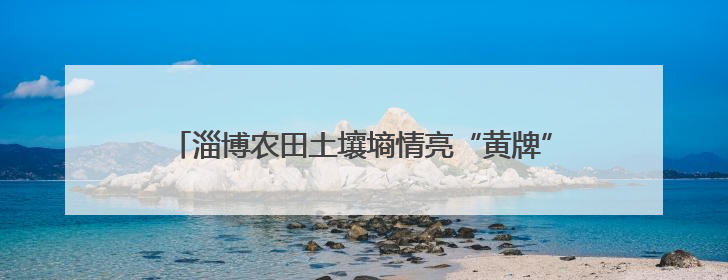 淄博农田土壤墒情亮“黄牌”，农户需关注这些应对措施