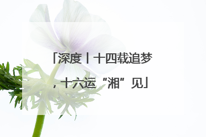深度丨十四载追梦，十六运“湘”见