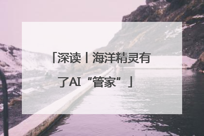 深读丨海洋精灵有了AI“管家”