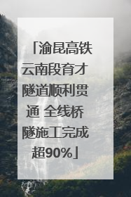 渝昆高铁云南段育才隧道顺利贯通 全线桥隧施工完成超90%
