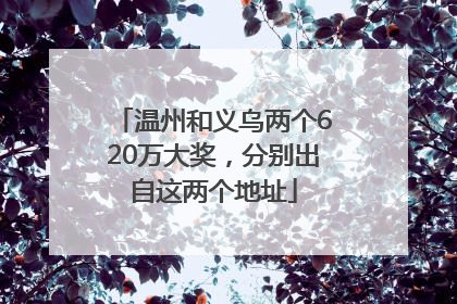 温州和义乌两个620万大奖，分别出自这两个地址
