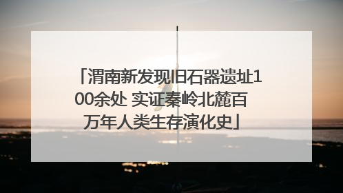 渭南新发现旧石器遗址100余处 实证秦岭北麓百万年人类生存演化史