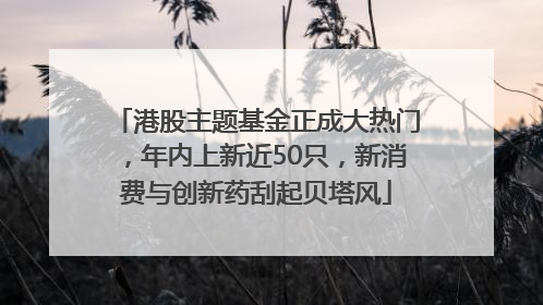 港股主题基金正成大热门，年内上新近50只，新消费与创新药刮起贝塔风
