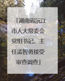 湖南省沅江市人大常委会党组书记、主任孟智勇接受审查调查