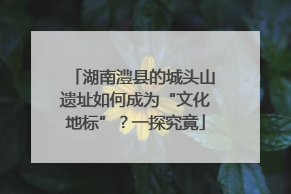 湖南澧县的城头山遗址如何成为“文化地标”？一探究竟