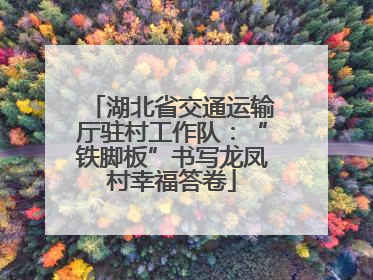 湖北省交通运输厅驻村工作队：“铁脚板”书写龙凤村幸福答卷