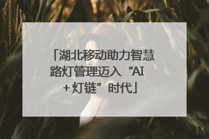 湖北移动助力智慧路灯管理迈入“AI＋灯链”时代