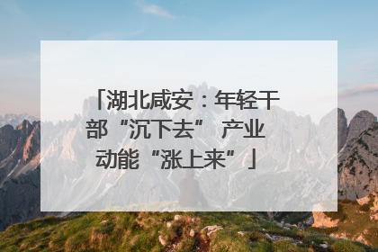 湖北咸安：年轻干部“沉下去” 产业动能“涨上来”