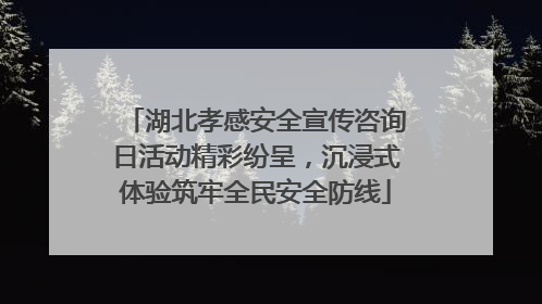 湖北孝感安全宣传咨询日活动精彩纷呈，沉浸式体验筑牢全民安全防线