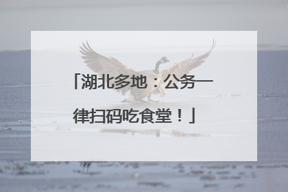 湖北多地：公务一律扫码吃食堂！