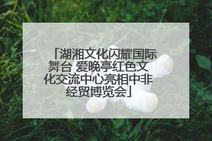 湖湘文化闪耀国际舞台 爱晚亭红色文化交流中心亮相中非经贸博览会