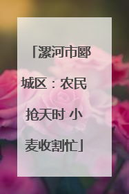 漯河市郾城区：农民抢天时 小麦收割忙