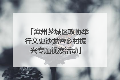 漳州芗城区政协举行文史沙龙暨乡村振兴专题视察活动