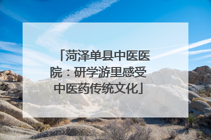 菏泽单县中医医院：研学游里感受中医药传统文化