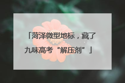 菏泽微型地标，藏了九味高考“解压剂”