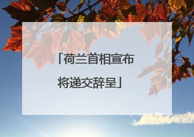 荷兰首相宣布将递交辞呈
