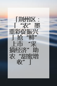 荆州区：「“农”墨重彩促振兴」抢“鲜”上市 “采摘经济”助农“甜蜜增收”