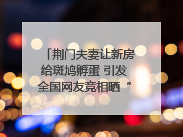 荆门夫妻让新房给斑鸠孵蛋 引发全国网友竞相晒“人鸟共处”图