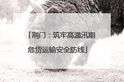 荆门：筑牢高温汛期危货运输安全防线