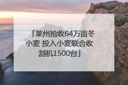 莱州抢收64万亩冬小麦 投入小麦联合收割机1500台