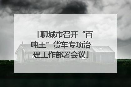 聊城市召开“百吨王”货车专项治理工作部署会议