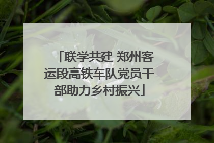 联学共建 郑州客运段高铁车队党员干部助力乡村振兴