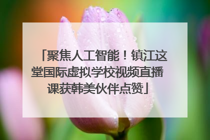 聚焦人工智能！镇江这堂国际虚拟学校视频直播课获韩美伙伴点赞