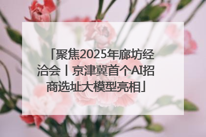 聚焦2025年廊坊经洽会丨京津冀首个AI招商选址大模型亮相