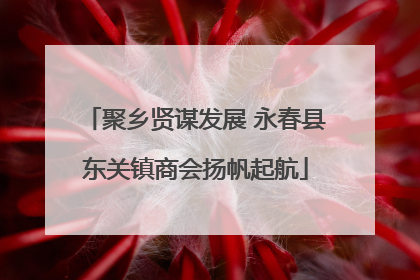 聚乡贤谋发展 永春县东关镇商会扬帆起航