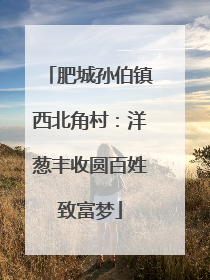 肥城孙伯镇西北角村：洋葱丰收圆百姓致富梦