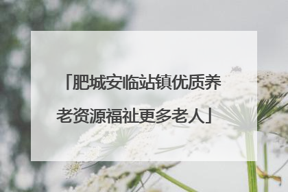 肥城安临站镇优质养老资源福祉更多老人