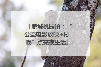 肥城桃园镇：“公益电影放映+村晚”点亮夜生活