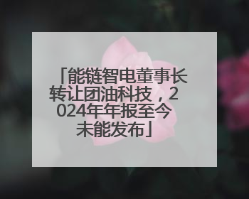 能链智电董事长转让团油科技，2024年年报至今未能发布