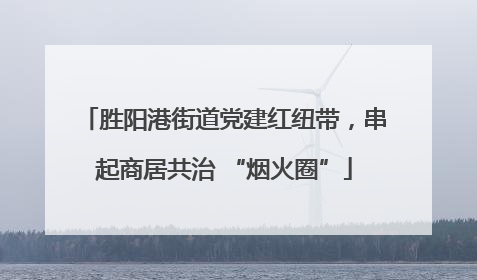 胜阳港街道党建红纽带，串起商居共治 “烟火圈”