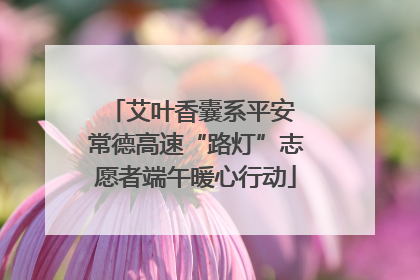 艾叶香囊系平安 常德高速“路灯”志愿者端午暖心行动