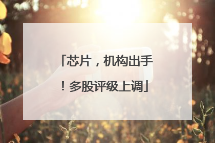 芯片，机构出手！多股评级上调