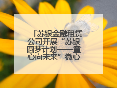 苏银金融租赁公司开展“苏银圆梦计划——童心向未来”微心愿捐赠活动
