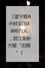 董宇辉4小时卖出3800万元，潜江龙虾火爆“出圈”