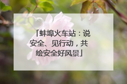 蚌埠火车站：说安全、见行动，共绘安全好风景
