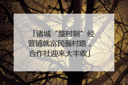 诸城“整村制”经营铺就富民强村路，合作社迎来大丰收